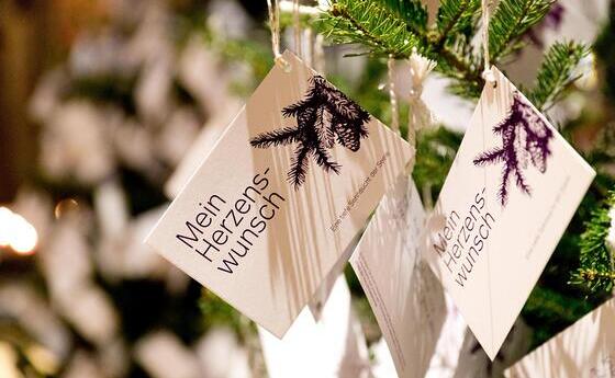 Weihnachtswald der Herzenswünsche im Mariendom / © Diözese Linz / Richard Haidinger Die Dombesucher*innen sind im Advent eingeladen, ihre weihnachtlichen Herzenswünsche auf eine Karte zu schreiben und diese auf einen der aufgestellten Christbäume im Mariendom zu hängen. So entsteht ein Wald der Herzenswünsche mitten im Herzen der St