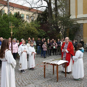 Palmsonntag in St. Quirinus