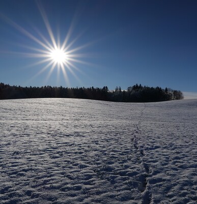 Wintersonne