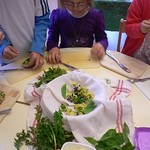 Den Frühling mit allen Sinnen erfahren