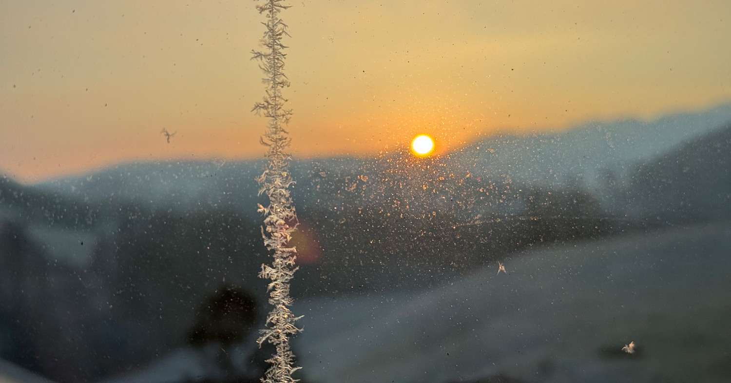 Eisblumen am Fenster