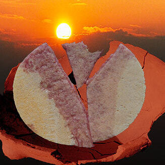 © Burghard Ebenhöh