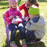 Hasen zu Besuch im Kindergarten