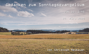 Gedanken zum Sonntagsevangelium, Christoph Neubauer