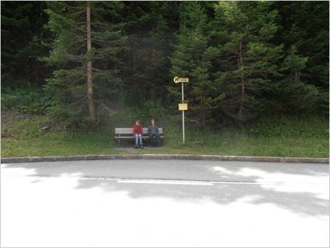 Picasa OLYMPUS DIGITAL CAMERA