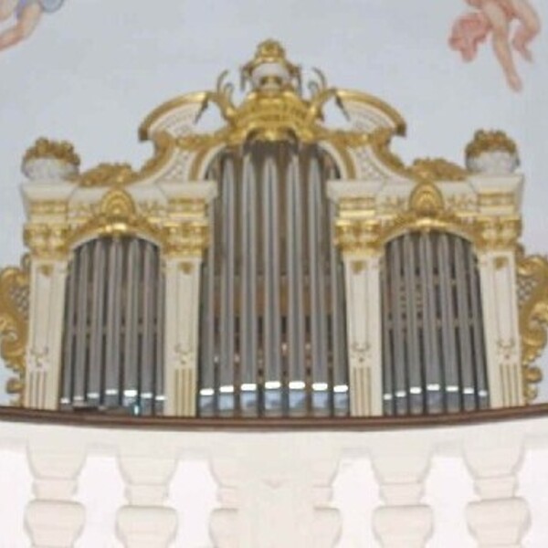 The organ