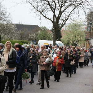 Palmsonntag in St. Quirinus