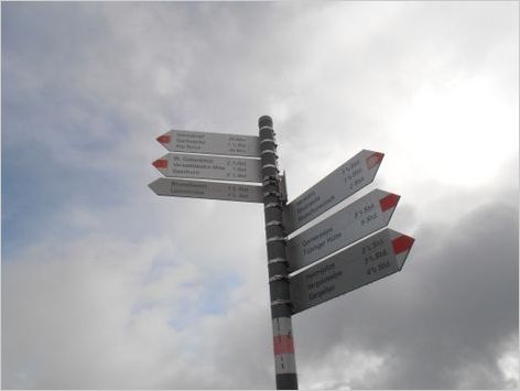 Picasa OLYMPUS DIGITAL CAMERA