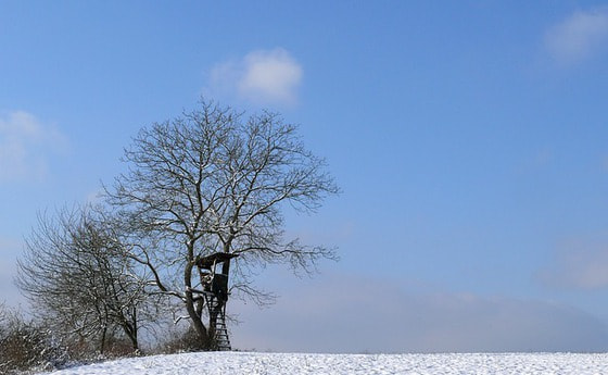 Jägerstand in Winterlandschaft