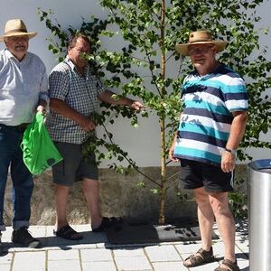 28. - 30. Mai: Birkenaktion: Ca. 300 Birken werden für Fronleichnam geschnitten und aufgestellt