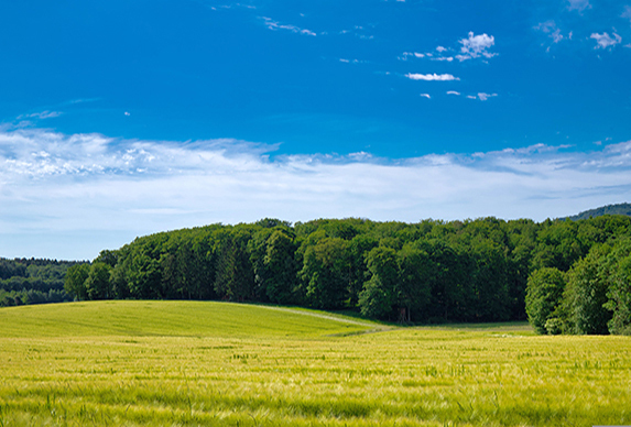 Umwelt und Nachhaltigkeit