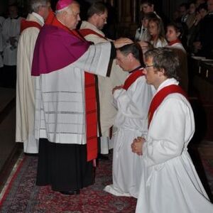 Priesterweihe im Linzer Mariendom