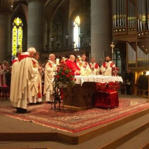 Priesterweihe im Linzer Mariendom