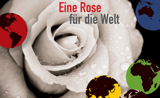 Eine Rose für die Welt