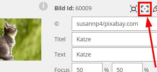 Fokus Punkt / FB Kommunikation Fokus Punkt Schaltfläche