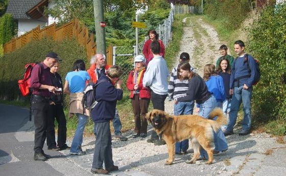 Herbstwanderung 