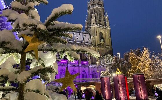 Die Di?zese Linz l?dt jedes Jahr zu einem Adventmarkt am Domplatz ein. Echtes Kunsthandwerk, ein hochwertiges kulinarisches Angebot und die beeindruckende Kulisse der gr??ten Kirche ?sterreichs sind einige der Zutaten f?r eine wohltuende Auszeit im v