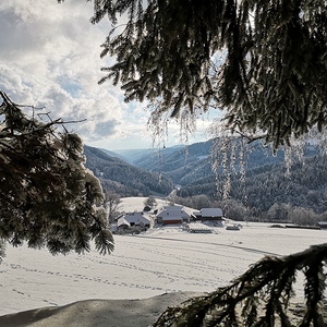 Winterausblick zum Steinöckerhaus 