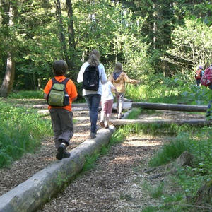 Miniausflug Baumkronenweg 2013