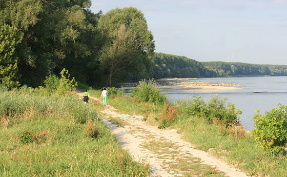 Weg in den Donauauen