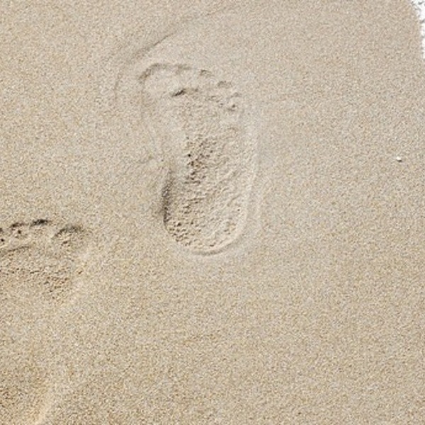 Spuren im Sand / © Michael Haderer Spuren im Sand