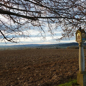 Kreuzsäule Rosenfeld