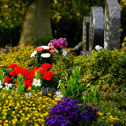 Friedhof