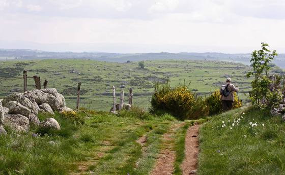 Aubrac. © Hans-Jakob Weinz/flickr.com