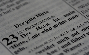 Die Bibel als Quelle für das persönliche Glaubensleben neu entdecken