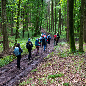 Jägerstätter Sternwallfahrt 2023 Pilgergruppe Schwertberg