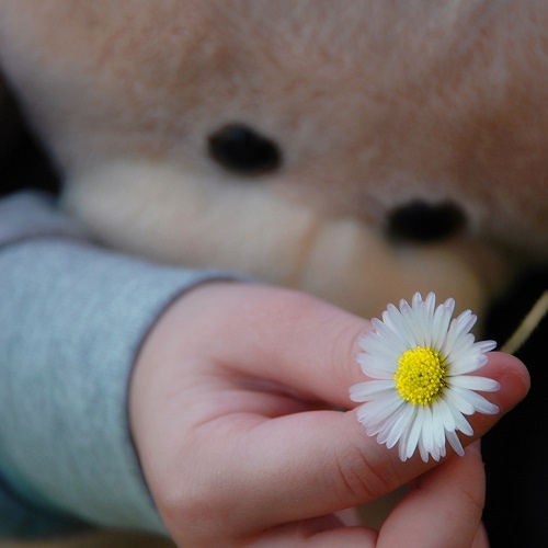 Kinderhand mit Blume