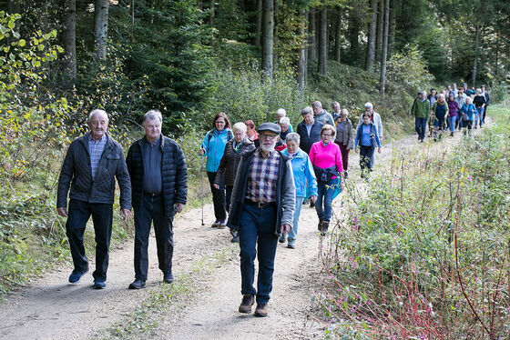 Pilgergruppe mit Bischof Manfred Scheuer (erste reihe Mitte) und Dekanatsassistent Josef Rathmaier (erste Reihe rechts)