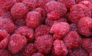 Himbeeren