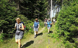 'einfach_gehen': KAB-Gruppe pilgerte im Waldviertel