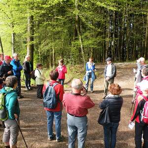 Pilgerwanderung 2015