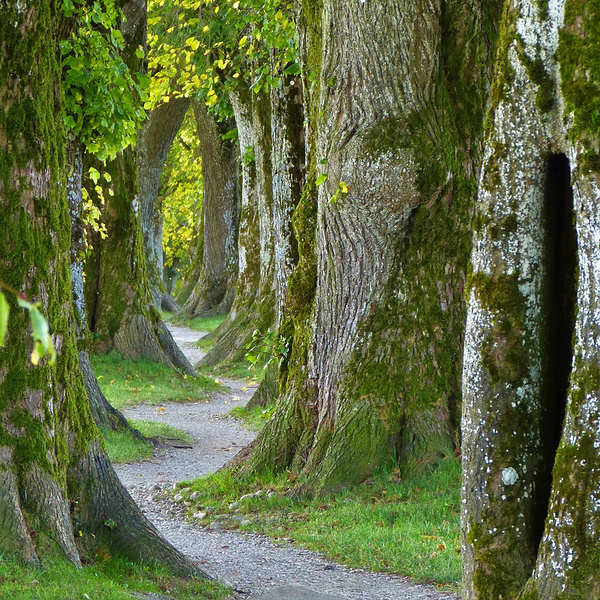 Weg zum Seelsorgeteam