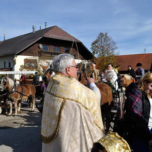 Leonhardiritt 04.11.2012