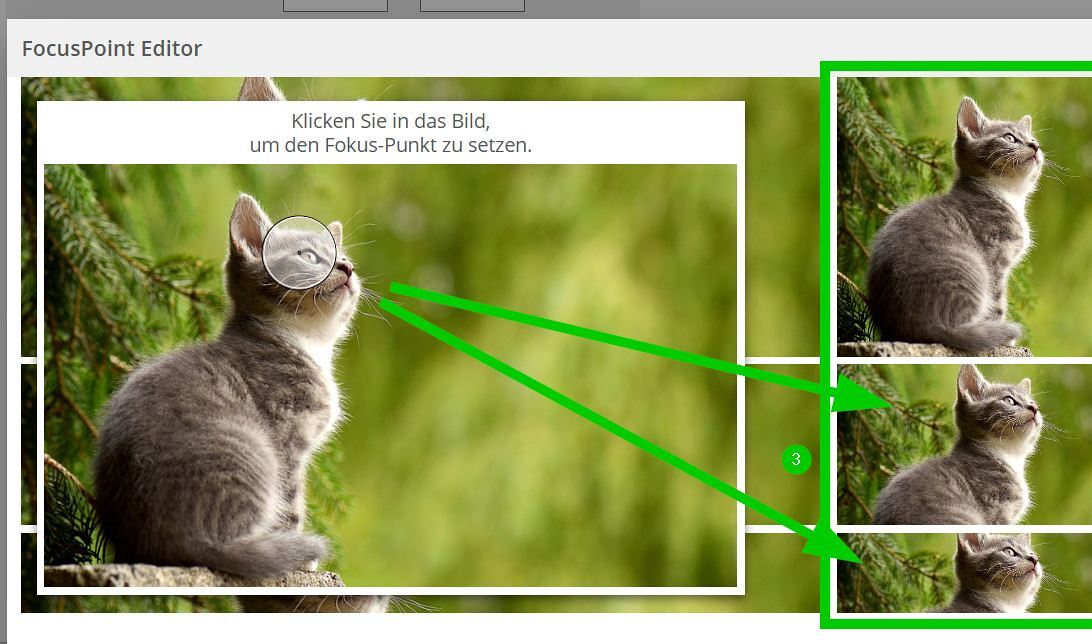Fokus Punkt / FB Kommunikation Fokus Punkt setzen