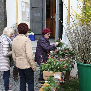 Palmsonntag in St. Quirinus