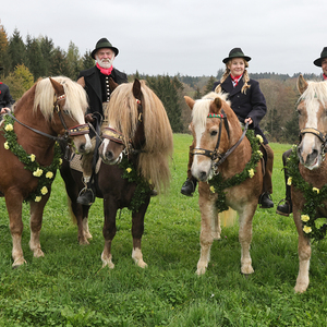 Warten auf den Rückritt