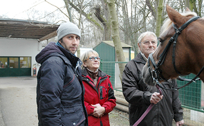 Die Liebe zum Pferd verbindet. Der Syrer Ahmad und das Ehepaar Jäche aus Linz-Spallerhof. 