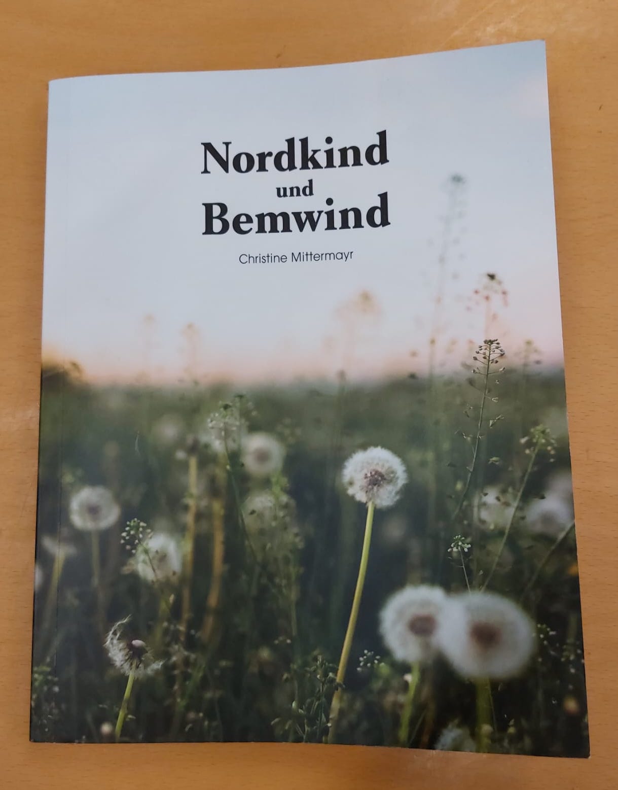 Buch Nordkind und Bemwind