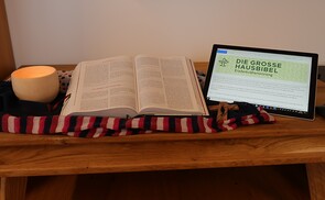 Bibel online