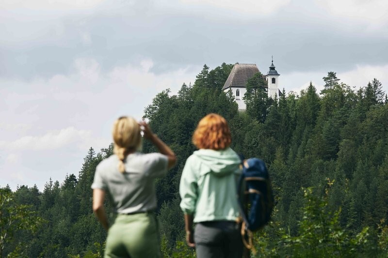 Wandern am Sebaldusweg / © OÖTourismusTVBSteyrNationalparkRegion_StefanMayerhofer Wandern am Sebaldusweg