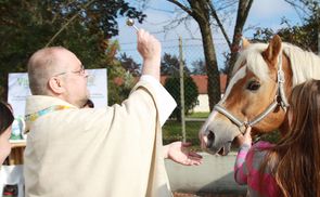 Tiersegnung während eines Gottesdienstes in der Pfarre Linz - St. Peter. © Pfarre Linz - St. Peter / Michael Mayr