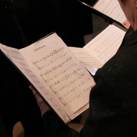 Programm Frühjahr - Sommer 2025 / © delphinmedia/pixabay.com/Pixabay License Programm Frühjahr - Sommer 2025