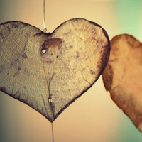 Wir möchten heiraten / © Ben_Kerckx/pixabay.com/Pixabay License Wir möchten heiraten