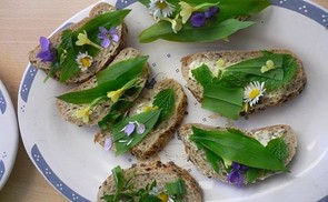 Den Frühling mit allen Sinnen erfahren