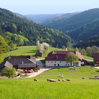 Jugendlager Steinöckerhaus