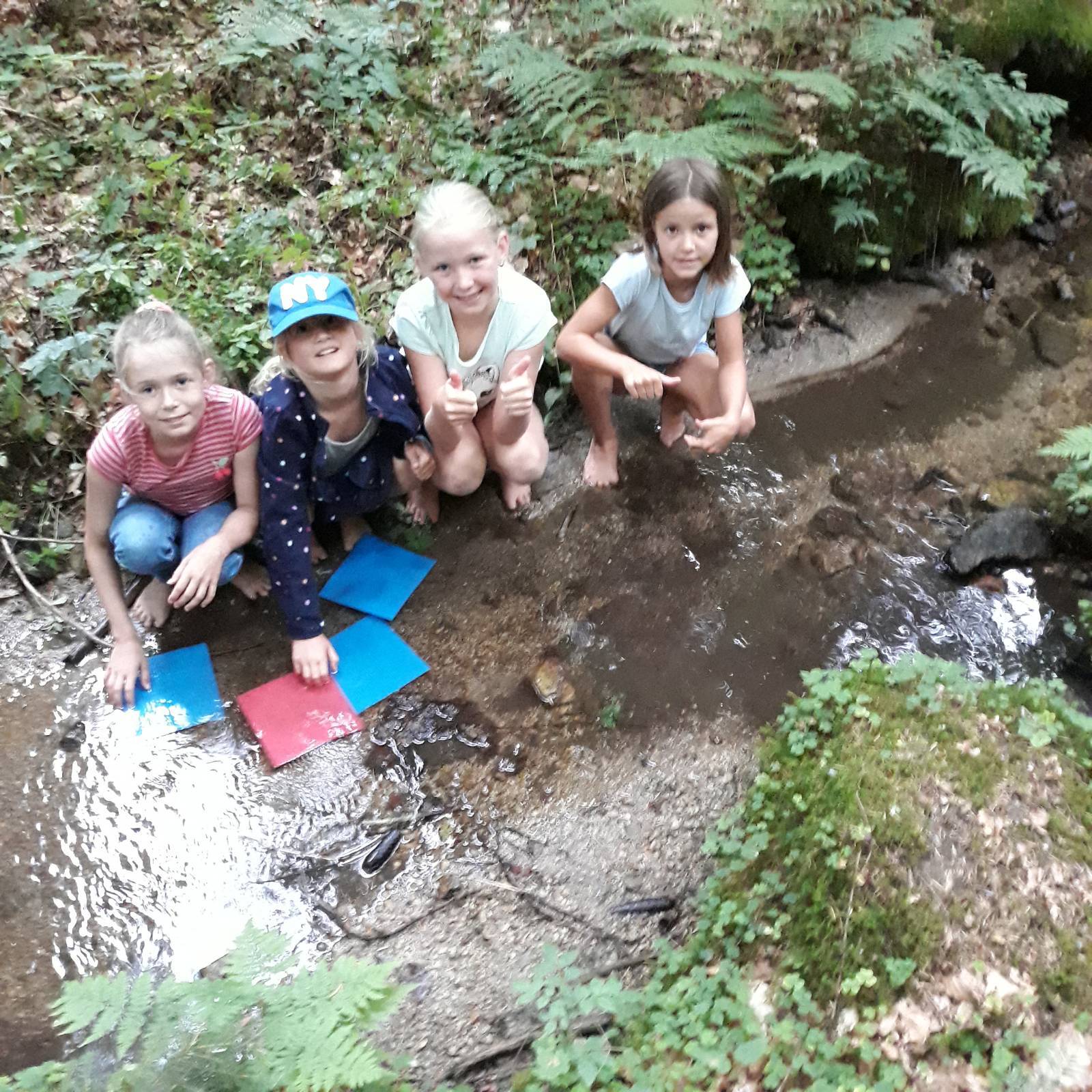 Wasser ist Leben - Ferienprogramm Sarleinsbach